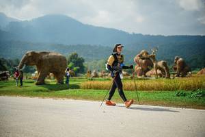 BIB: 
                            <button type="button" onclick="openModal(22434393)" class="btn btn-primary btn-sm float-right btn-popup" data-toggle="modal" data-target=".modal-high-quality">
                        <i class="fas fa-shopping-cart"></i> Add to Cart
                    </button>
                                            <button type="button" onclick="isThisMe(22434393, true)" class="btn btn-success btn-sm float-right btn-popup btn-isme hidden" data-toggle="tooltip" data-placement="bottom" title="นี่คือรูปของคุณใช่ไหม คลิกที่นี่เพื่อเอาเข้าอัลบั้ม">
                        <i class="fas fa-plus"></i> Add to album
                    </button>
                    <button type="button" onclick="isThisMe(22434393, false)" class="btn btn-warning btn-sm float-right btn-popup btn-isnotme hidden">
                        <i class="fas fa-ban"></i> Remove from album
                    </button>